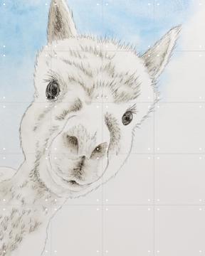 'Curious Alpaca' by Natalie Bruns