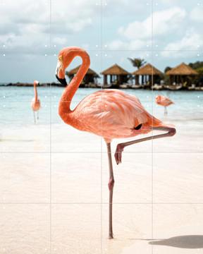 'Flamingo Beach' by Henrike Schenk