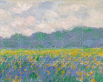 'Field of Yellow Irises - Giverny' by Claude Monet & Bridgeman Images