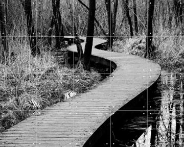 'Moerputten in Den Bosch' by Photolovers