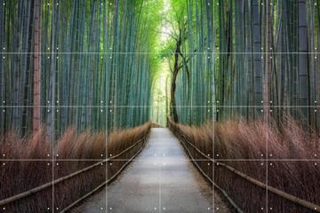 'Arashiyama bamboo grove, Kyoto, Japan' by Jan Becke