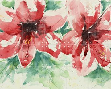 'Amaryllis' by Natalie Bruns