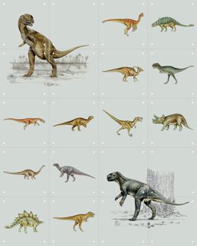 'Dino Collage Box' par Natural History Museum