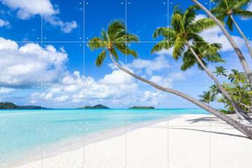 'Tropical beach on Bora Bora, French Polynesia' by Jan Becke