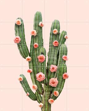 'Cactus and Roses' van Paul Fuentes